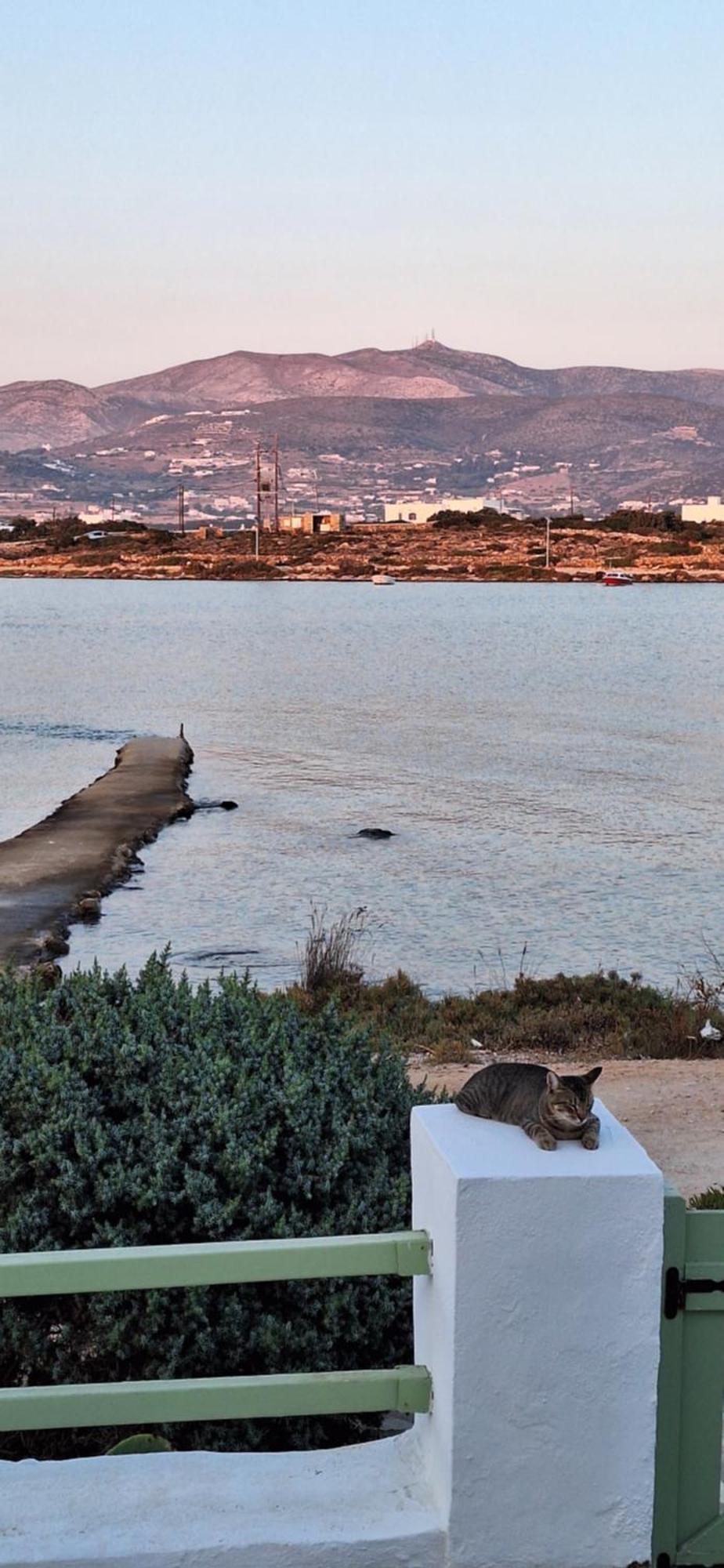 Mike'Splace Antiparos Town Exteriér fotografie
